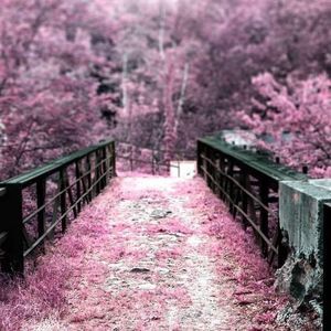 Meet your Posher, Adalyn